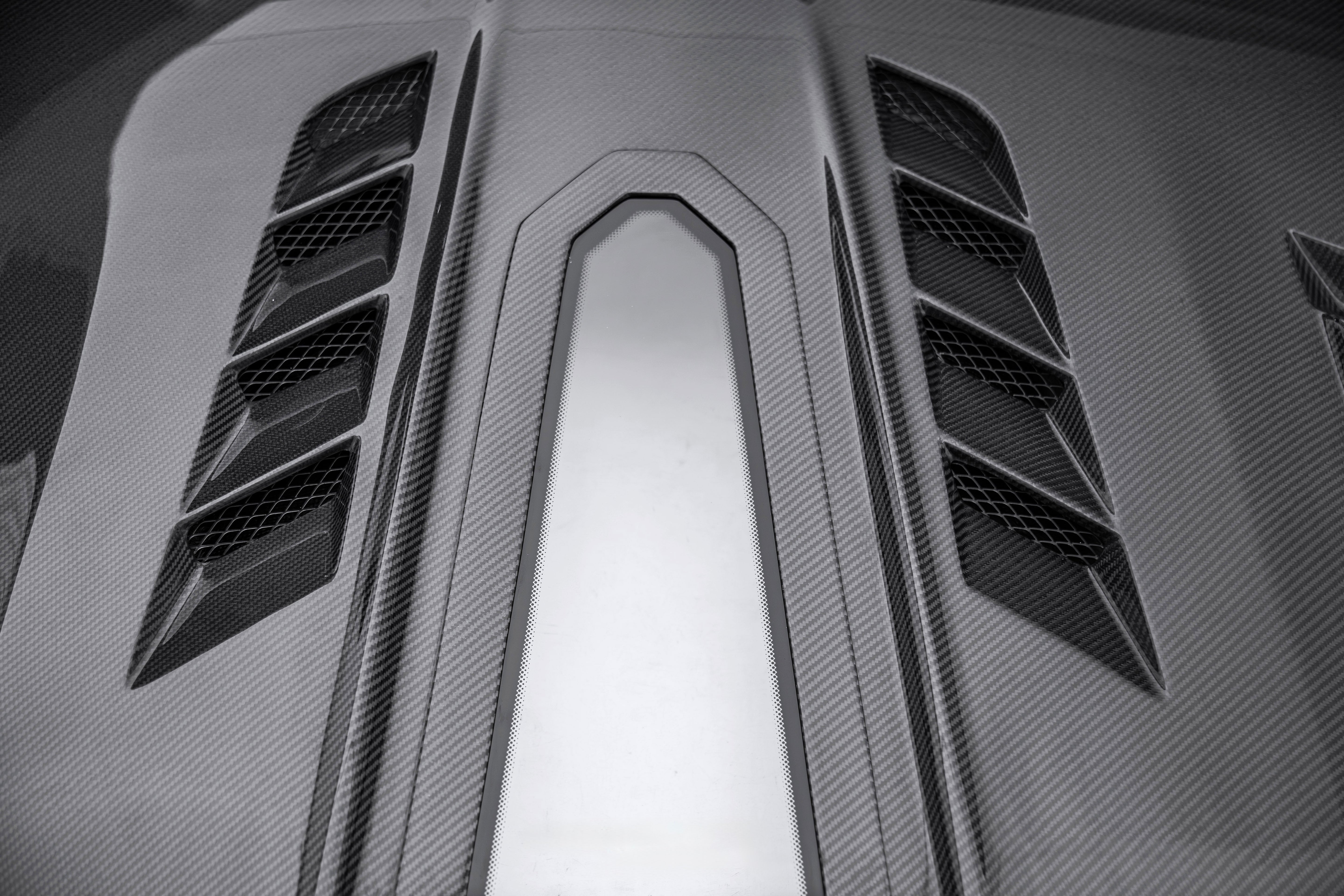 TERMINATOR STYLE CARBON FIBER ENGINE SHOW HOOD - FORD MUSTANG (2024+)