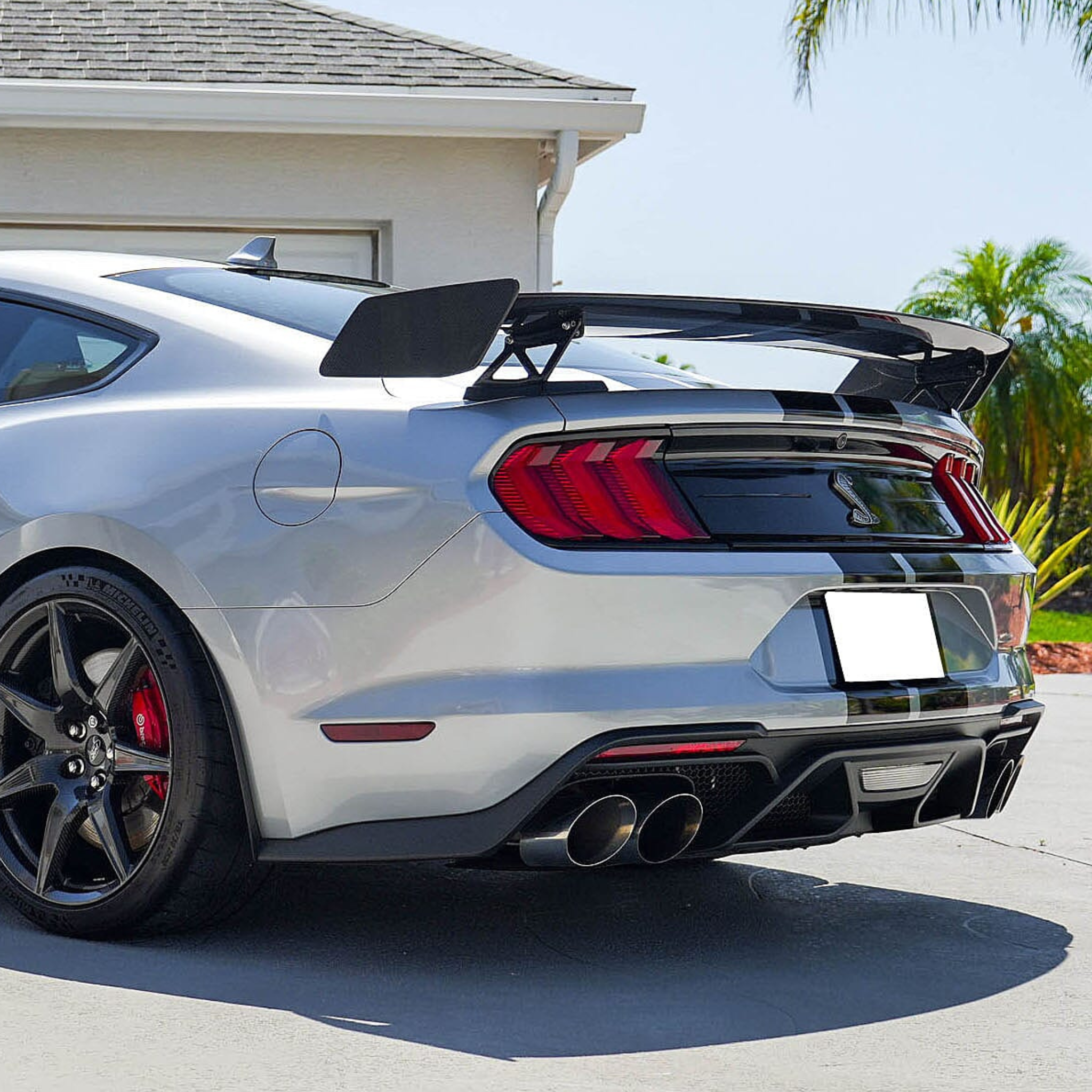 AAD CARBON FIBER TRACK PACK REAR WING SPOILER - FORD MUSTANG (2015–2023)