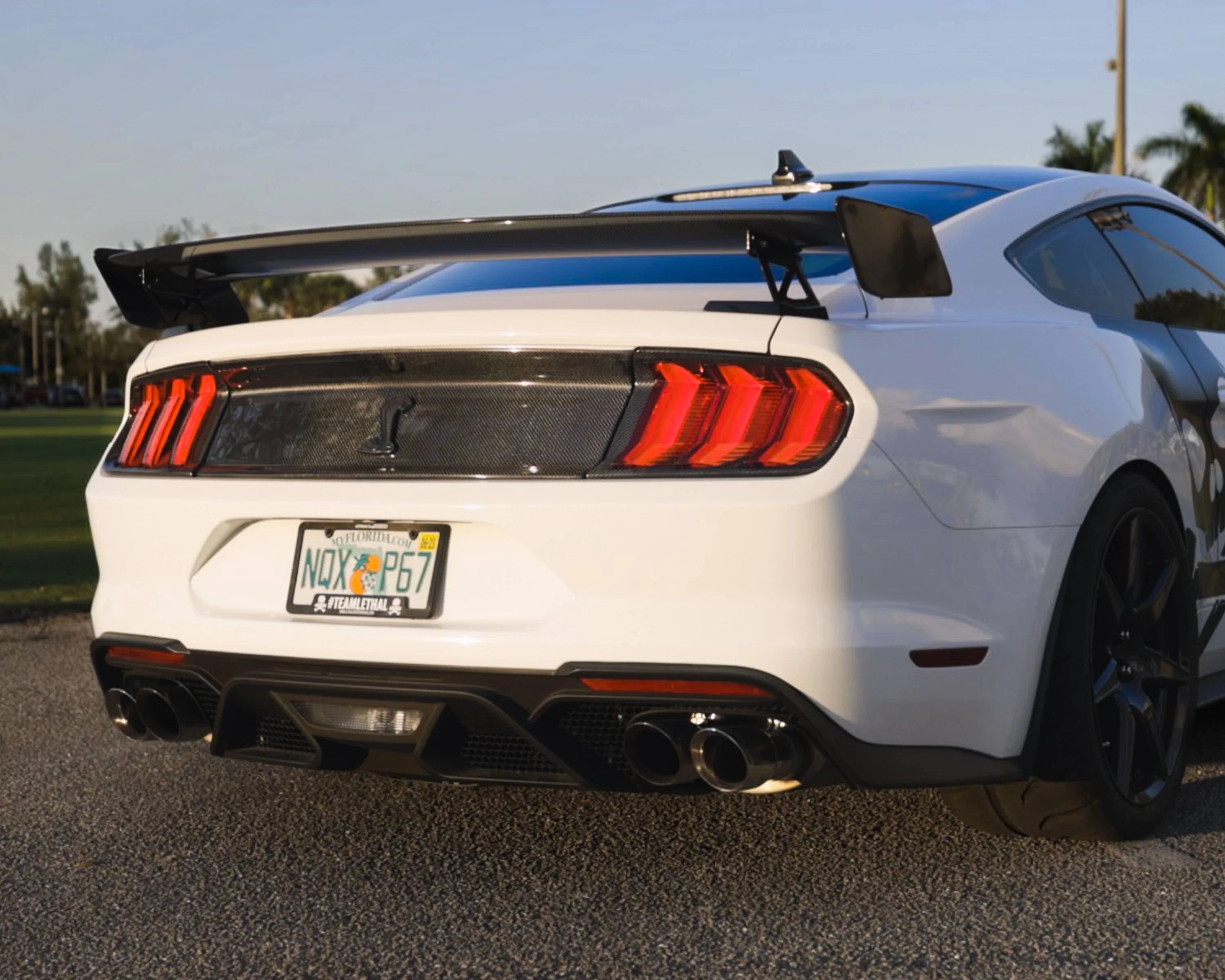 GT500 PERFORMANCE STYLE MATTE BLACK REAR SPOILER - FORD MUSTANG (2015–2023)