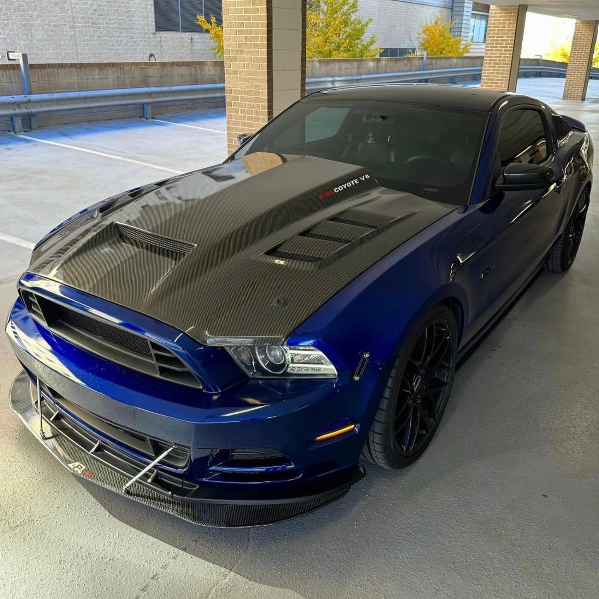 VIS RACING TERMINATOR STYLE CARBON FIBER HOOD - FORD MUSTANG (2011–2014)