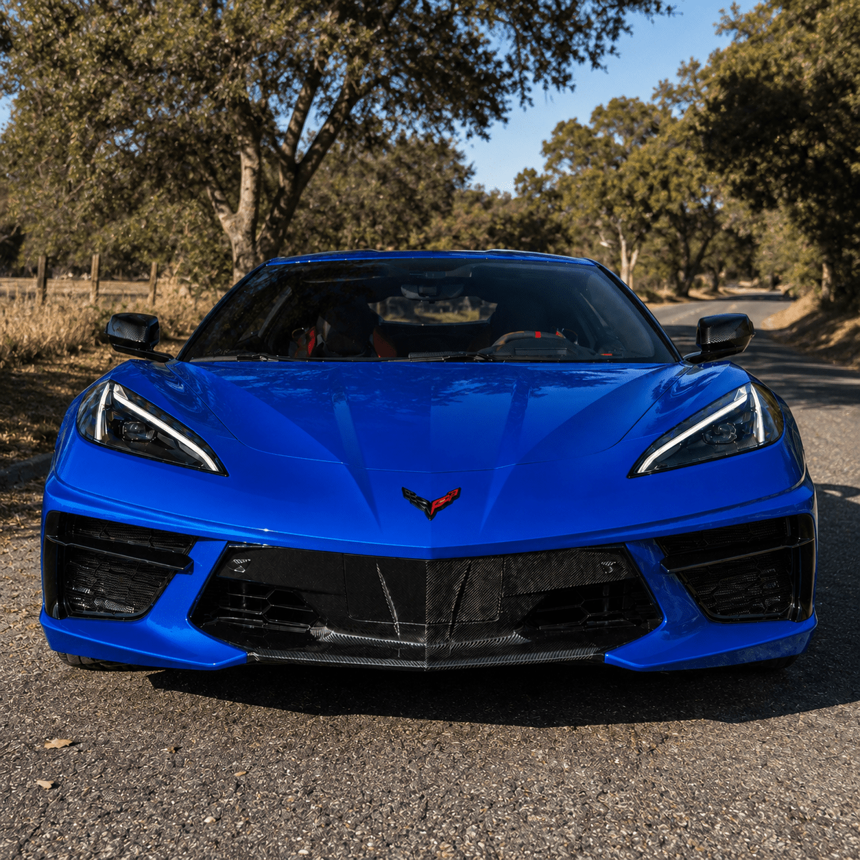 Chevrolet Corvette C8 Carbon Fiber Front Fascia Panel