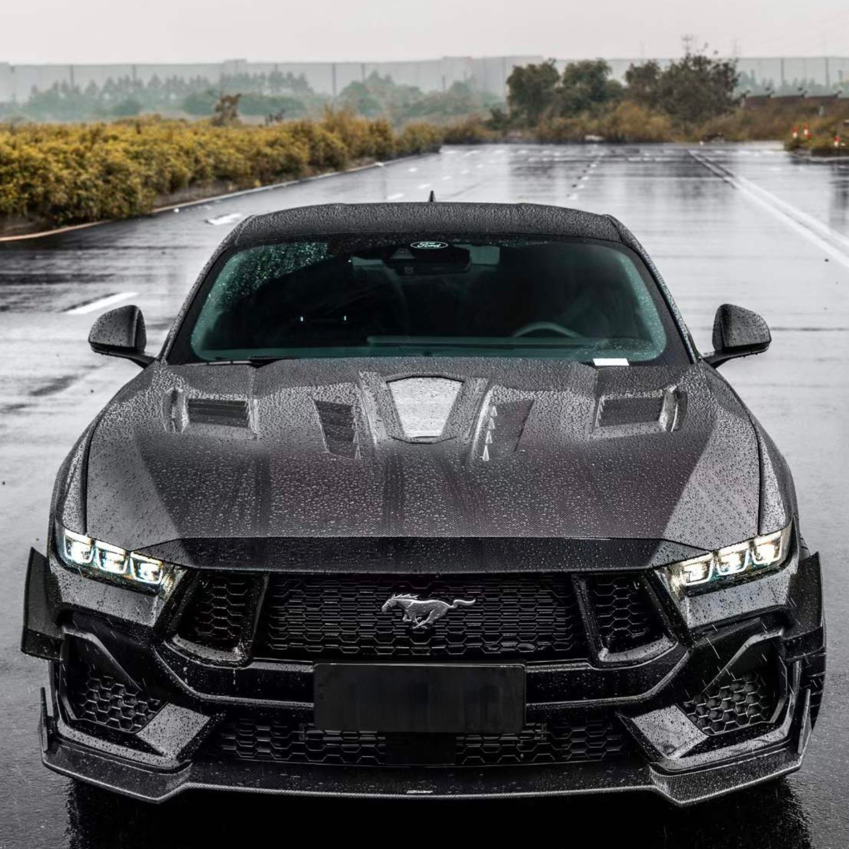 TERMINATOR STYLE CARBON FIBER ENGINE SHOW HOOD - FORD MUSTANG (2024+)