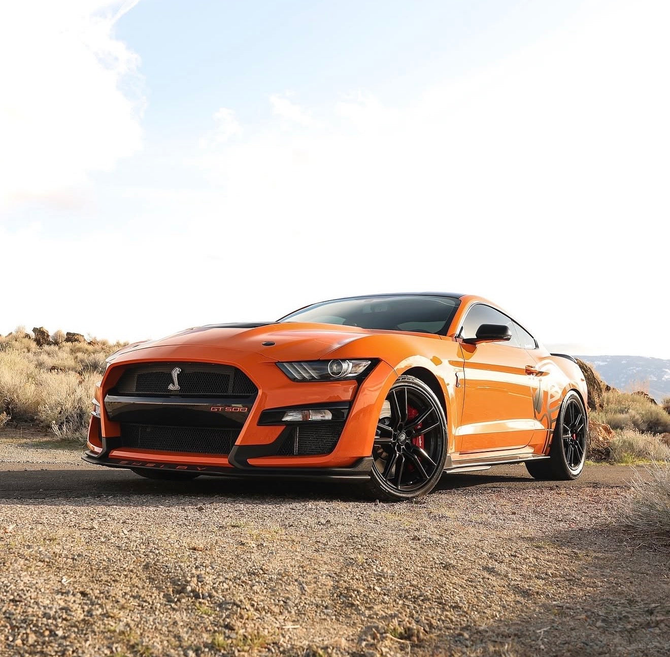 SHELBY GT500