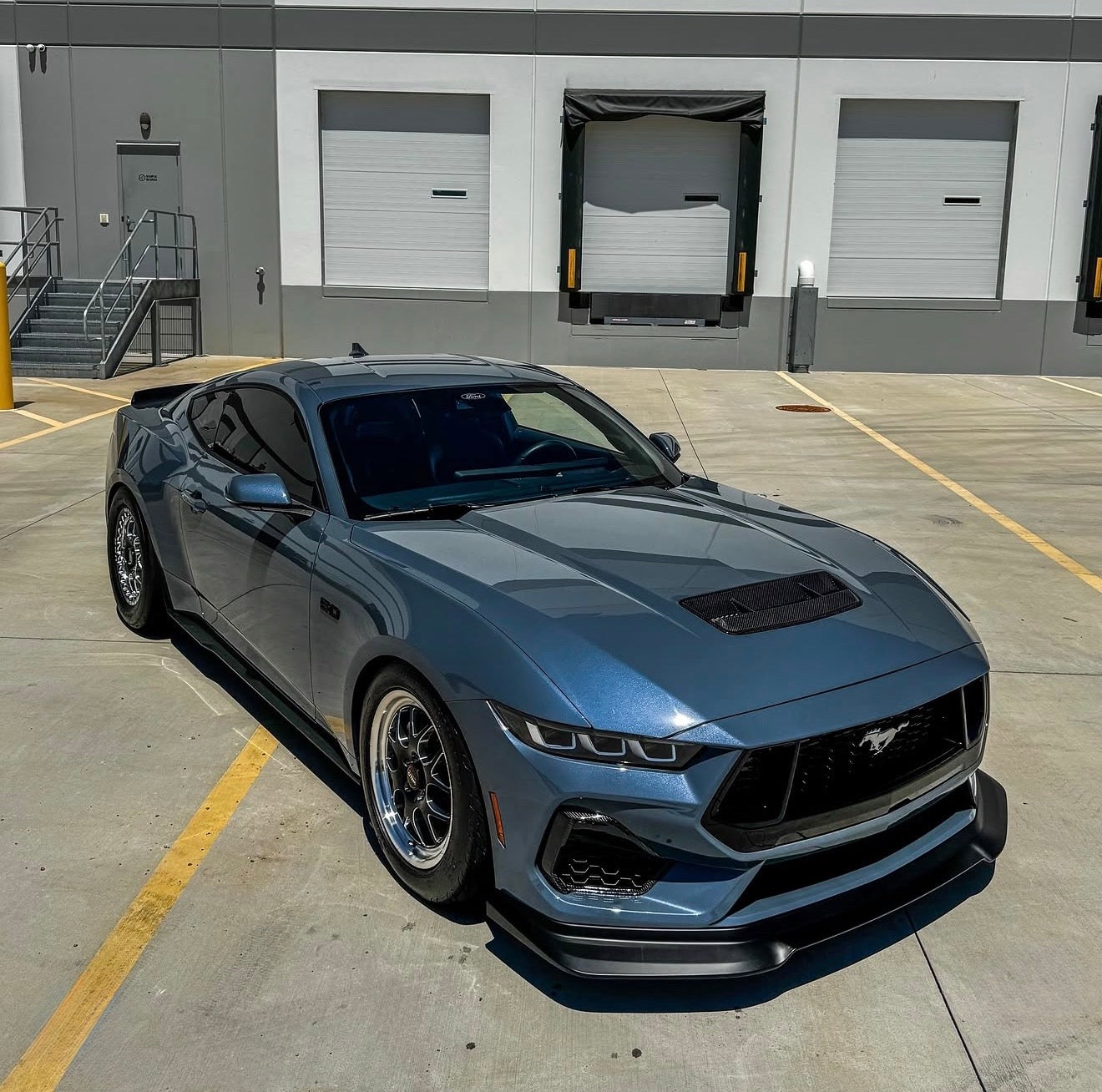 MUSTANG 5.0